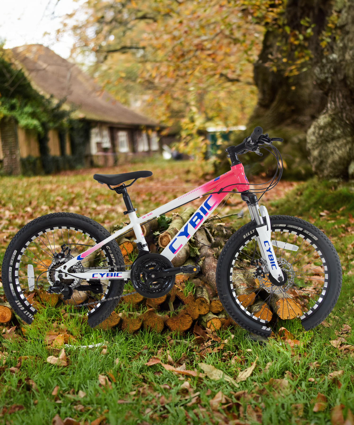 Kids Bike